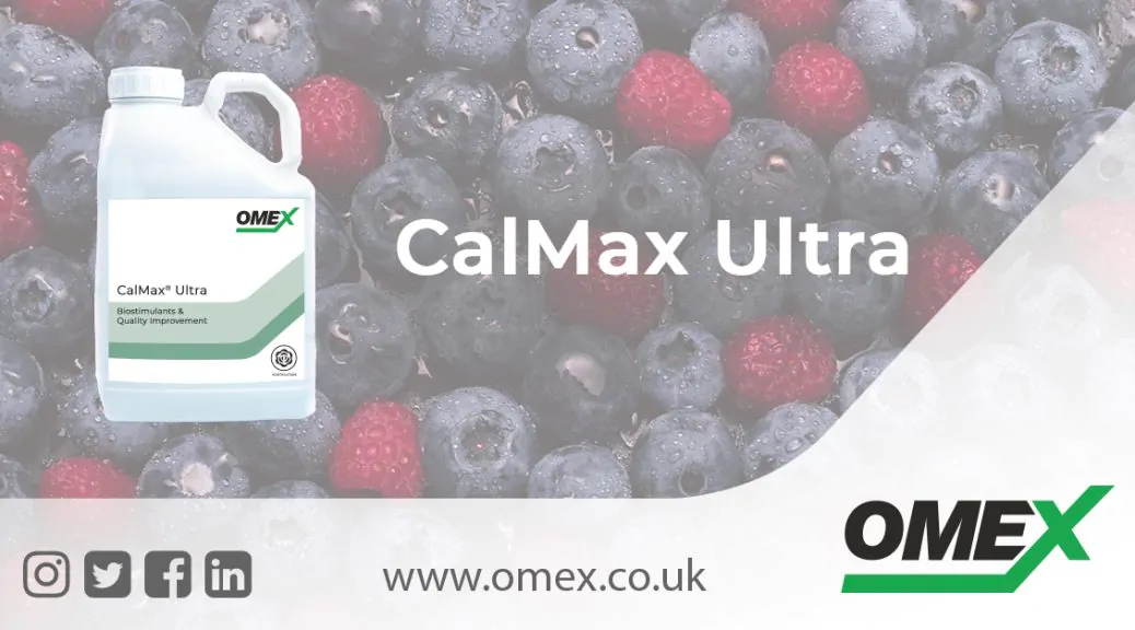CalMax Ultra blog image