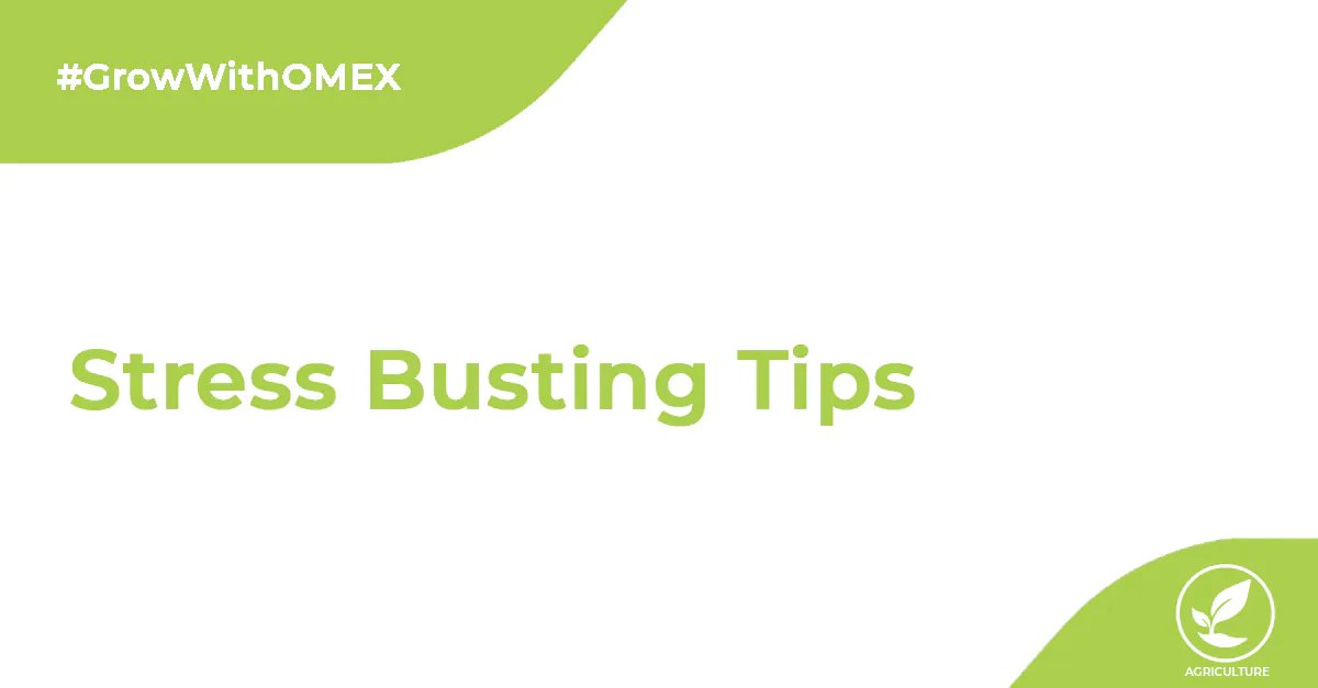 Stress busting tips