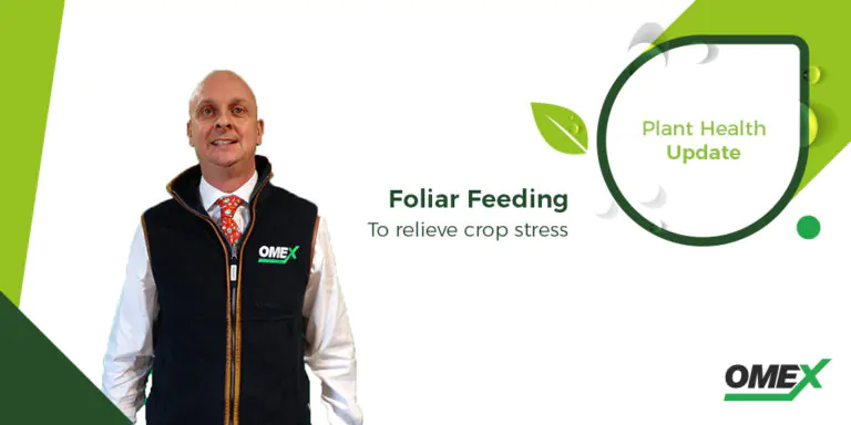 foliar feeding plant health update
