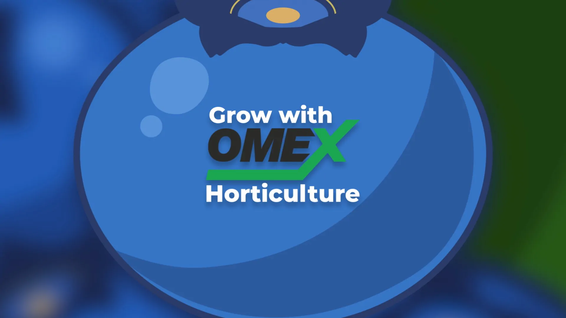 Horticultural Fertilisers Video