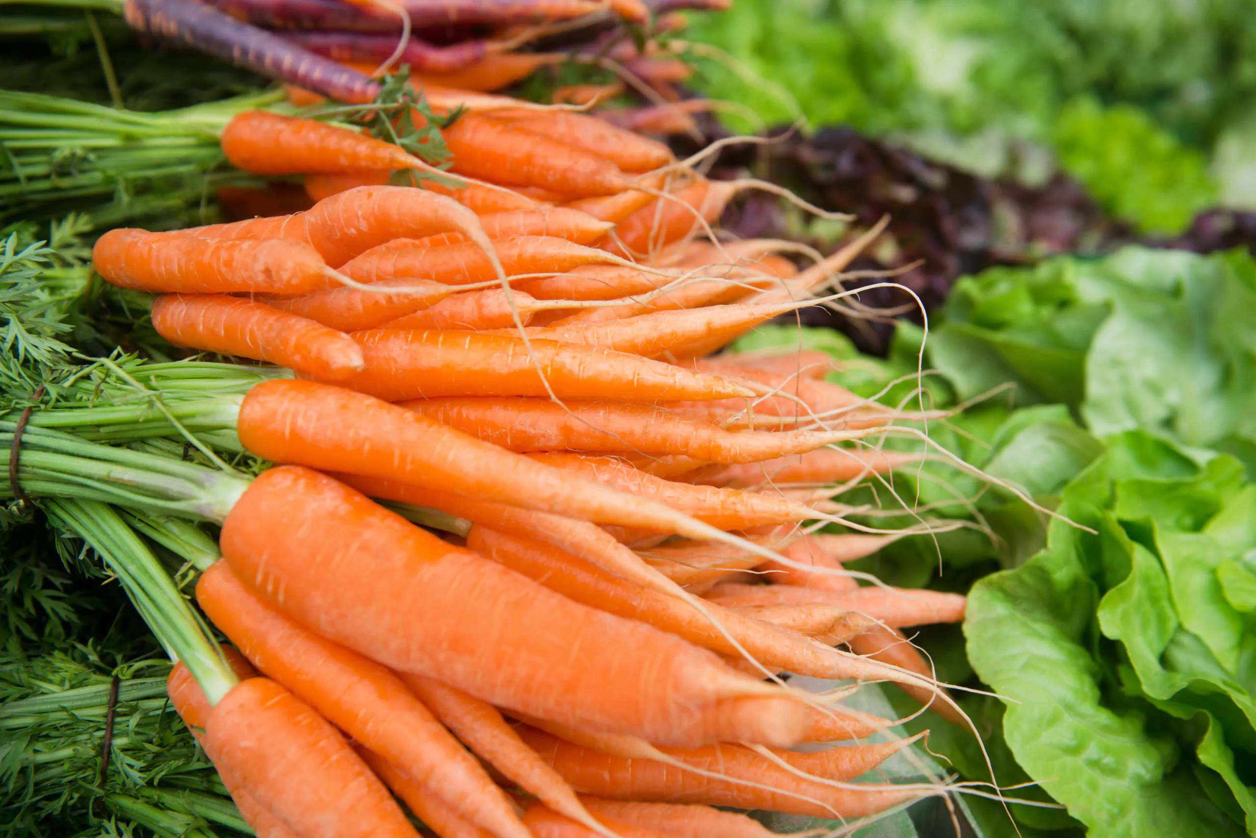 carrots on the ground