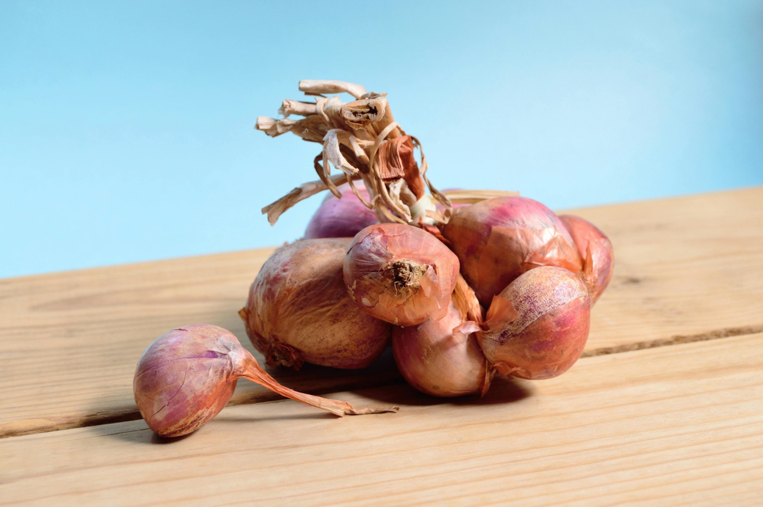 bunch of onions on a table.