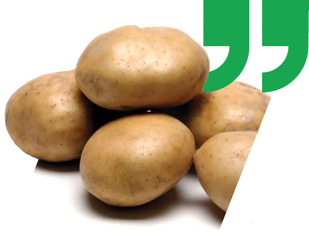potato quote
