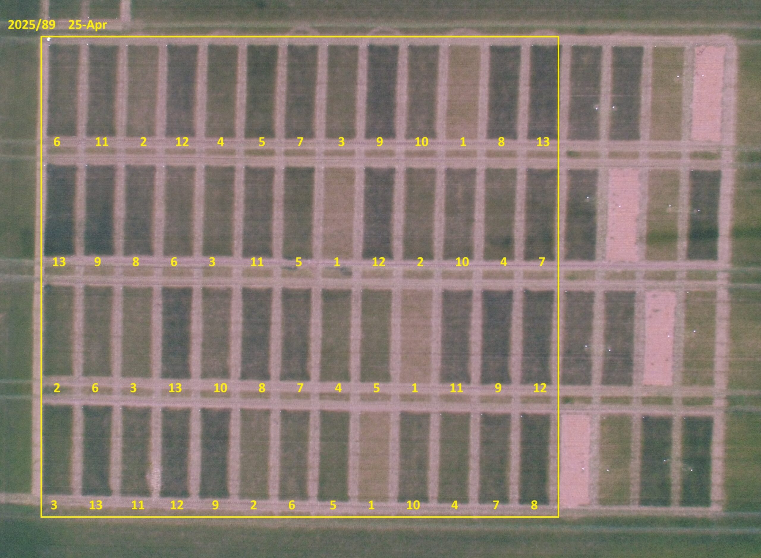 Nitrogen and Sulphur Trials OMEX Heckington Site