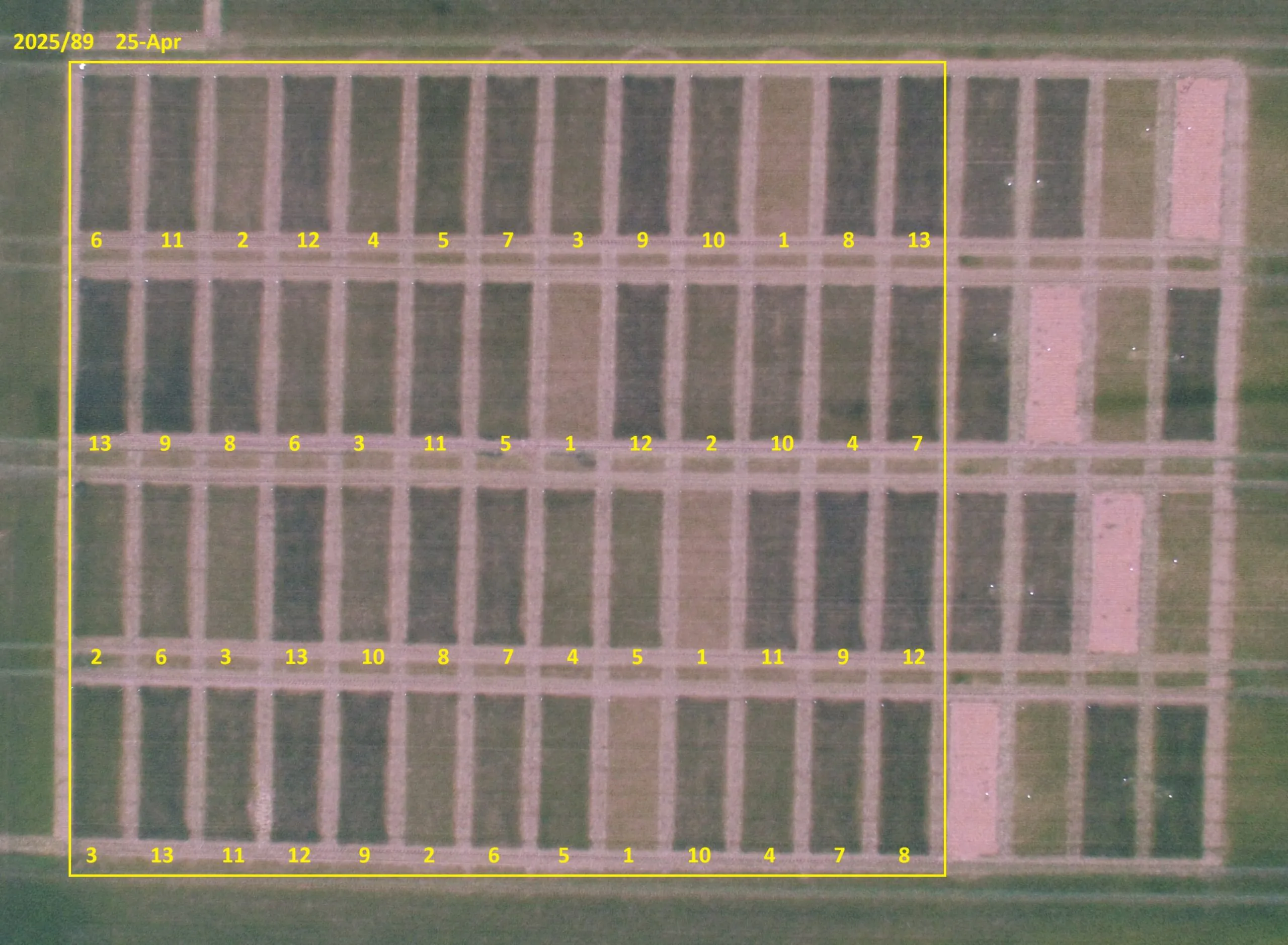 Nitrogen and Sulphur Trials OMEX Heckington Site