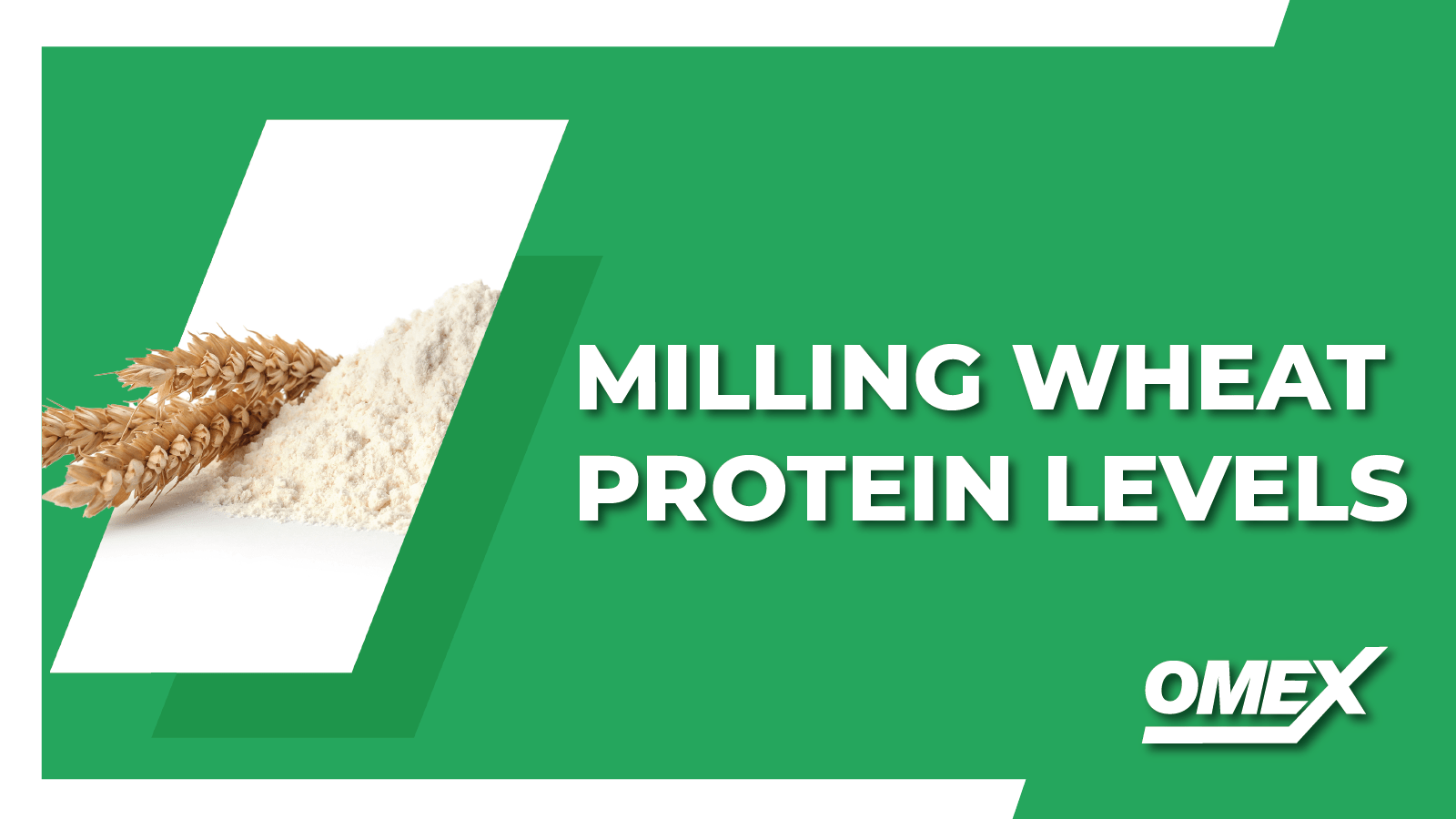 Milling Wheat Protein Plus