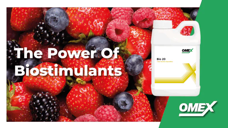 The Power Of Horticultural Biostimulants