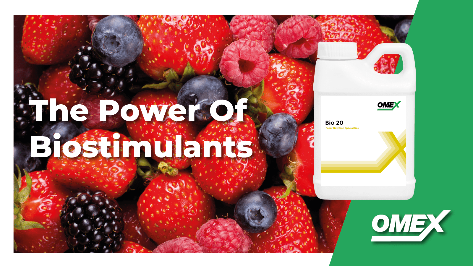 The Power Of Horticultural Biostimulants