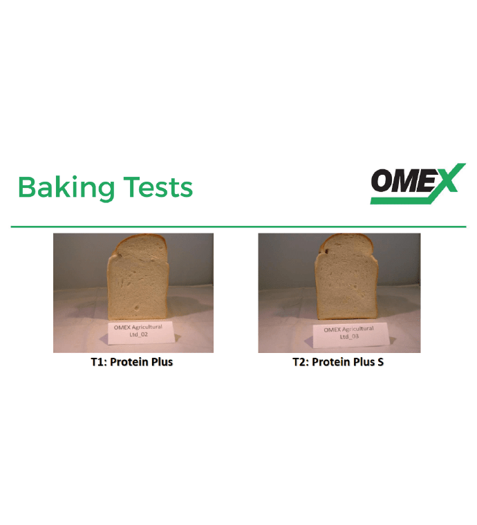 Milling Wheat Protein Plus