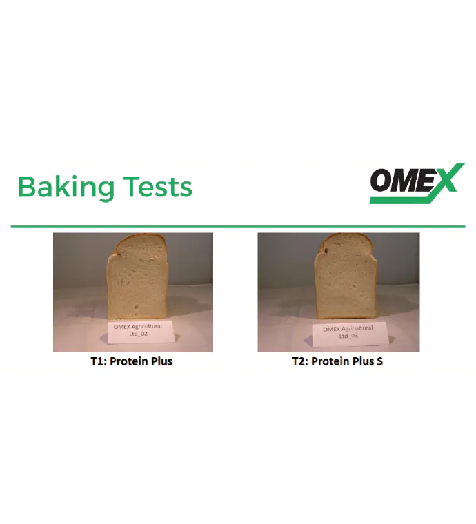 Milling Wheat Protein Plus