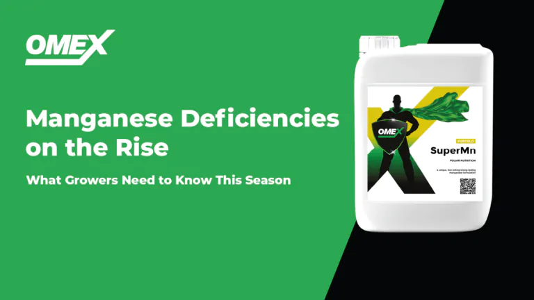Manganese Deficiencies