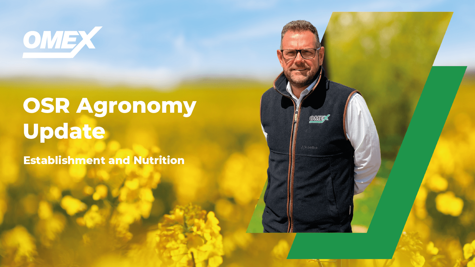 Oilseed Rape Agronomy Update: Establishment and Nutrition