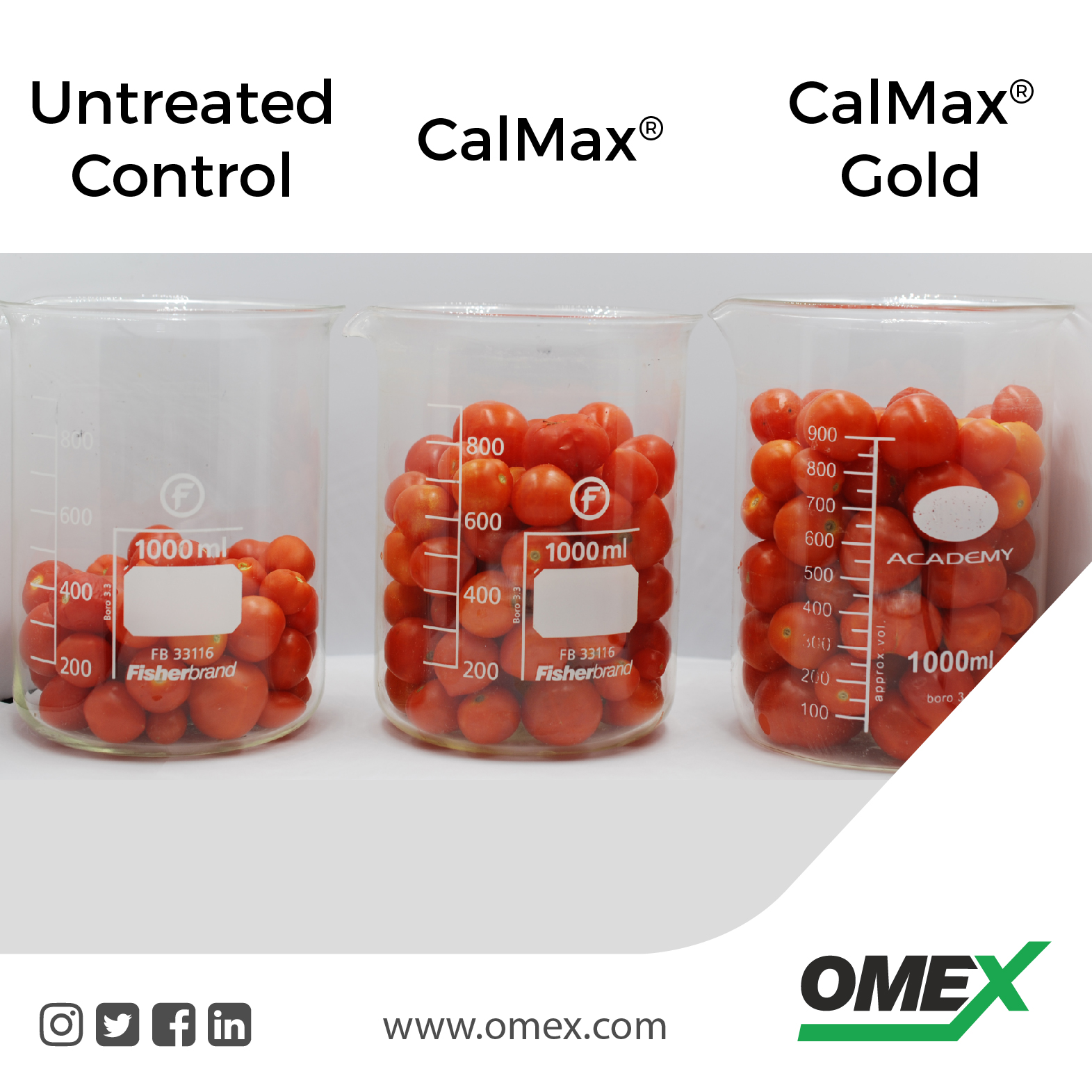 OMEX’s Calcium fertilizer delivers great results!