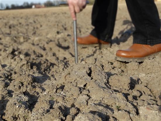 Thinking of using OMEX fertilisers? – Try our soil sampling services