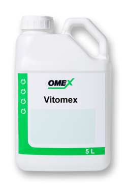 Vitomex bottle