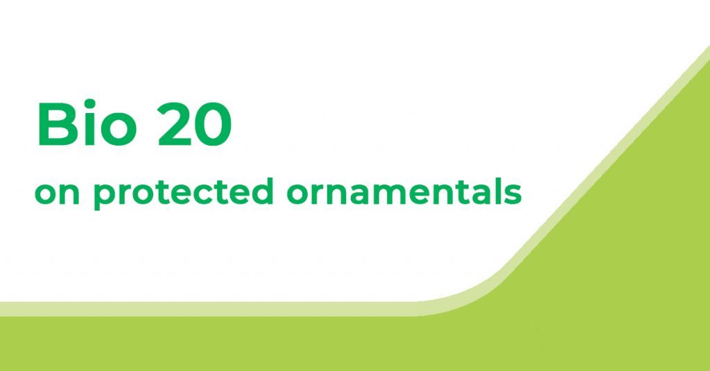 Bio 20 on protected ornamentals
