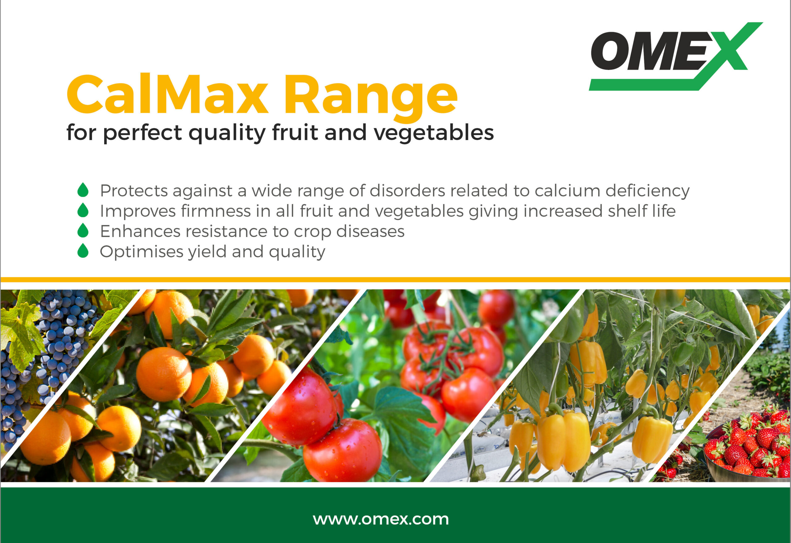 Improve quality of fruit and veg with CalMax