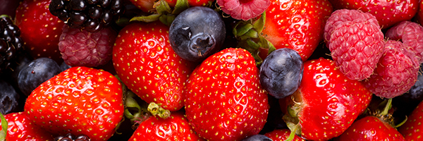 Boosting Soft Fruit Production