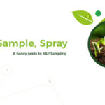 SAP Analysis Snip Sample Spray