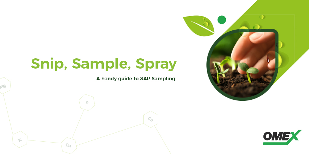 Snip, Sample, Spray! A handy guide to SAP Sampling