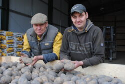 Fertiliser Application Growing Potatoes 
