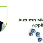 Heading into the new season, Soft Fruit Agronomist, Neil Holmes, explains autumn Micromex applications