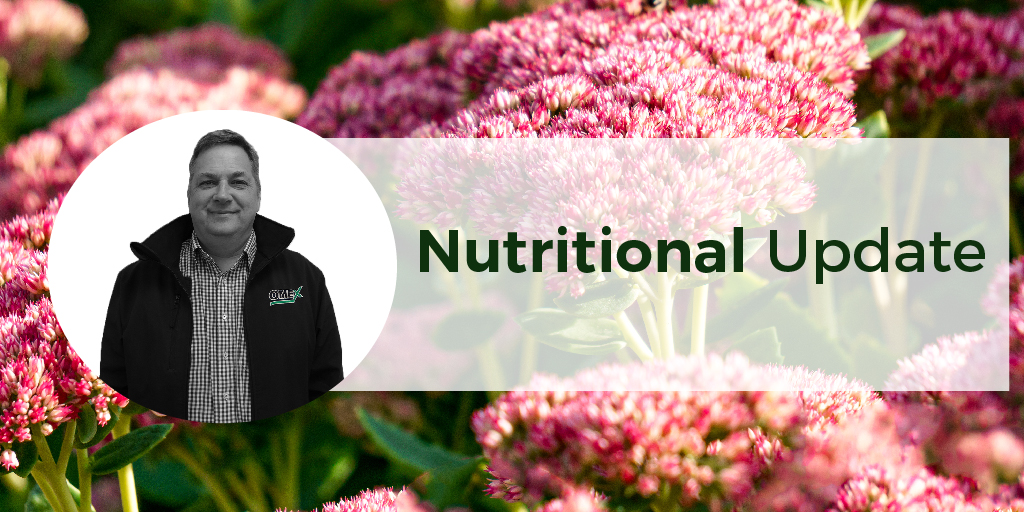 Protected Ornamental – Nutritional Update – OMEX Horticulture