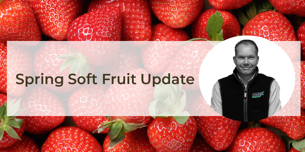 Soft Fruit Spring Update 2022