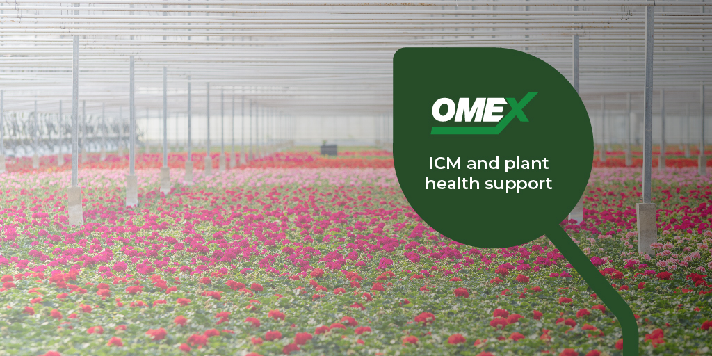 ICM and Plant Health Support for Horticultural Crops