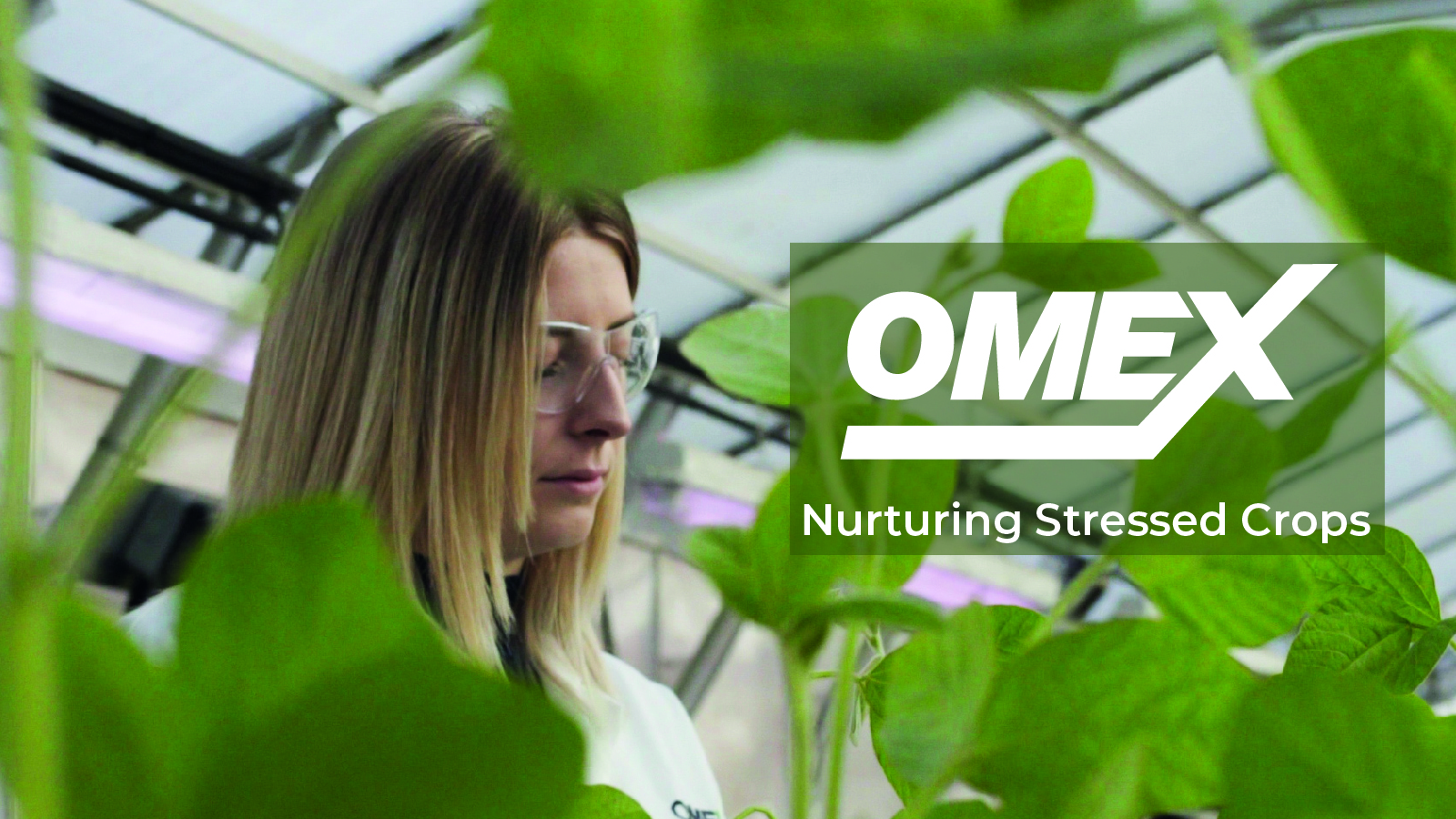 Nurturing stressed crops – Horticulture