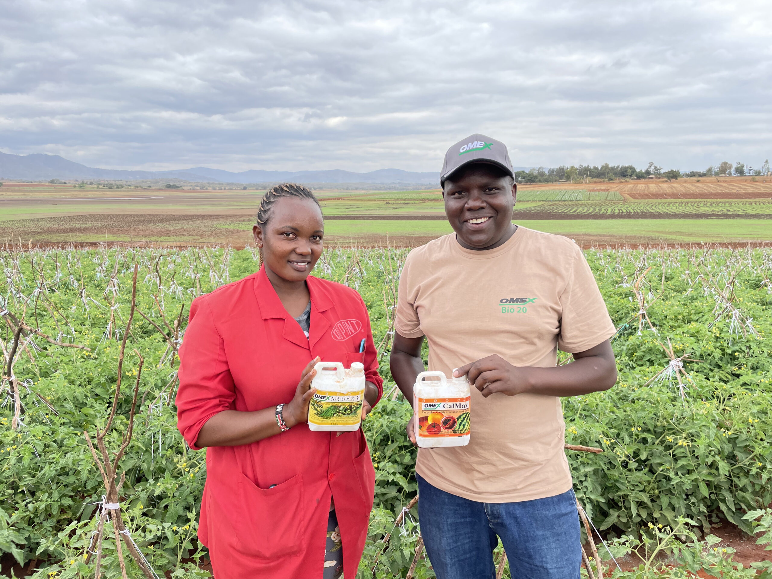 Tomato growers in Kenya