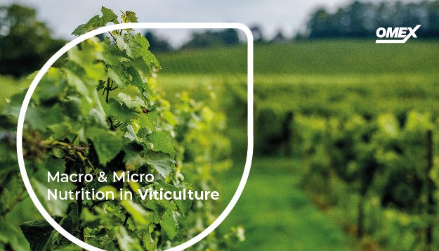 Macro and micro nutrition in viticulture – an annual review.