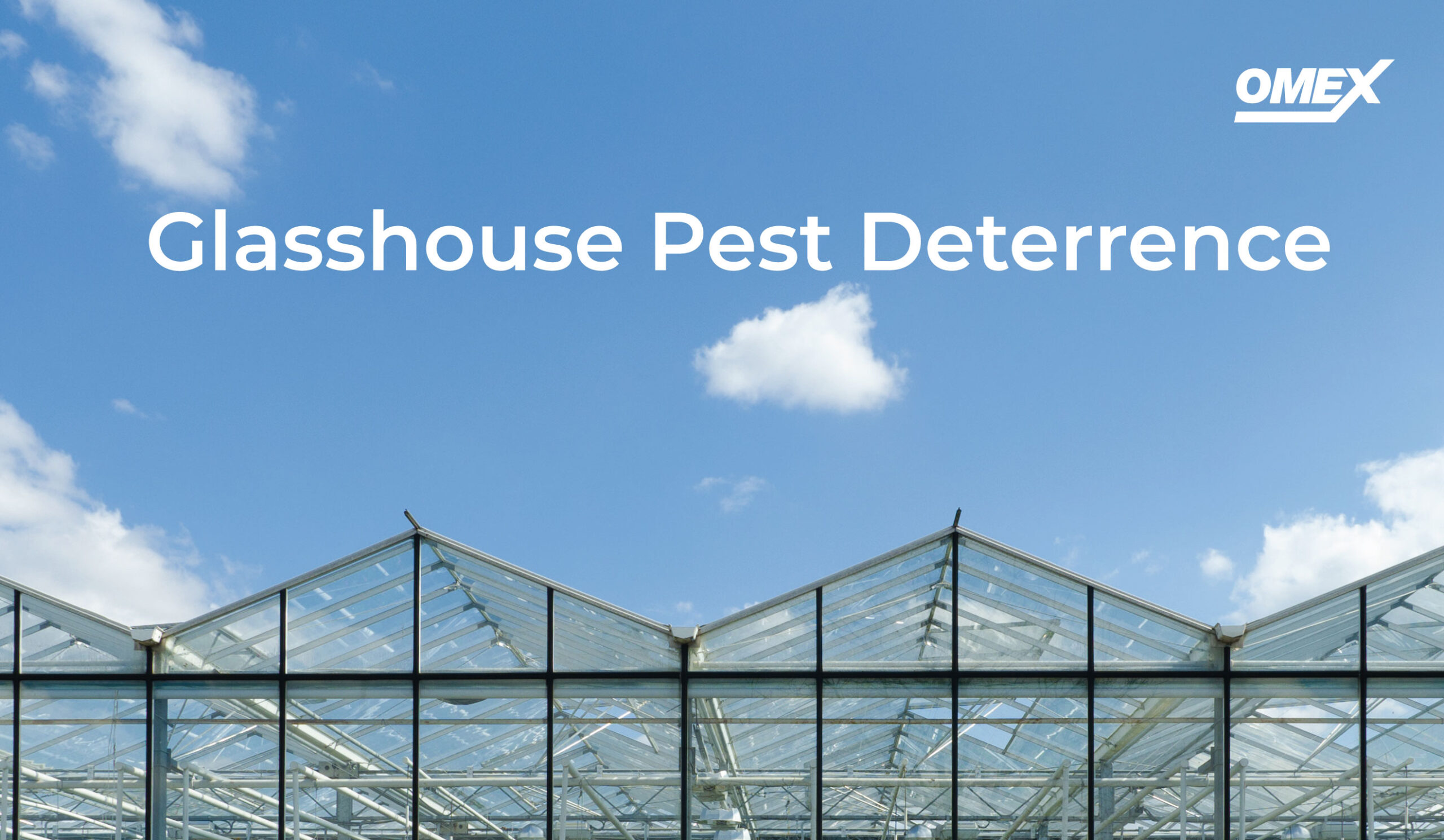 Glasshouse pest deterrence