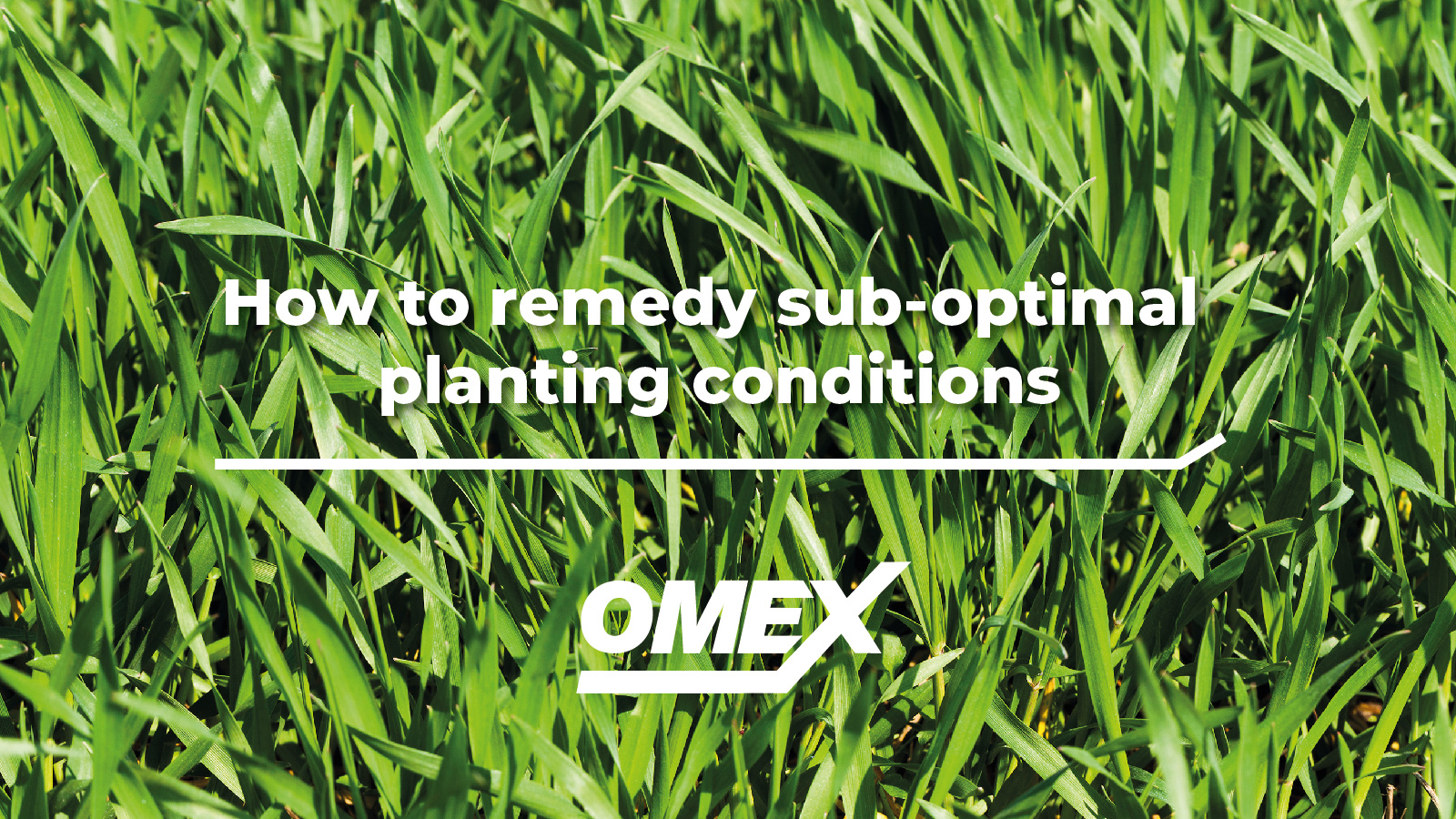 How to remedy sub-optimal planting conditions