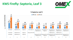 KWS Firefly - Sulphur as part of a fungicide strategy